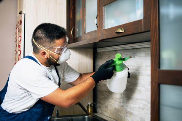 Best Cockroach Control Services  in St Gabriel, LA