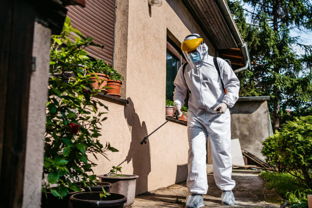 Best Pest Control Near Me  in St Gabriel, LA