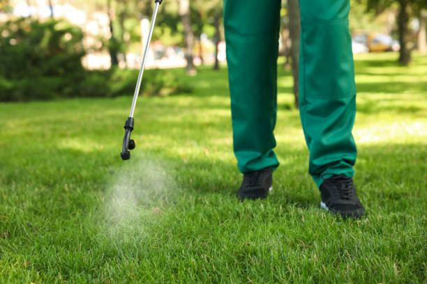 Best Exterminator Services  in St Gabriel, LA