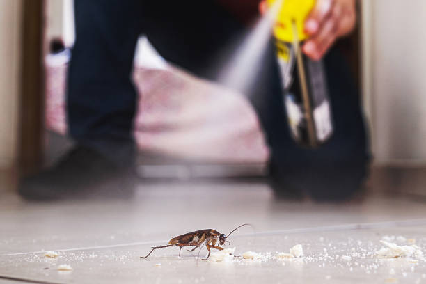 Best Wasp Removal Services  in St Gabriel, LA
