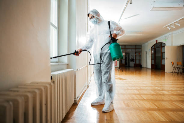 Best Local Pest Control Services  in St Gabriel, LA