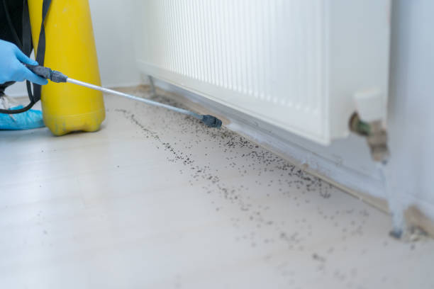 Pest Control Cost in St Gabriel, LA