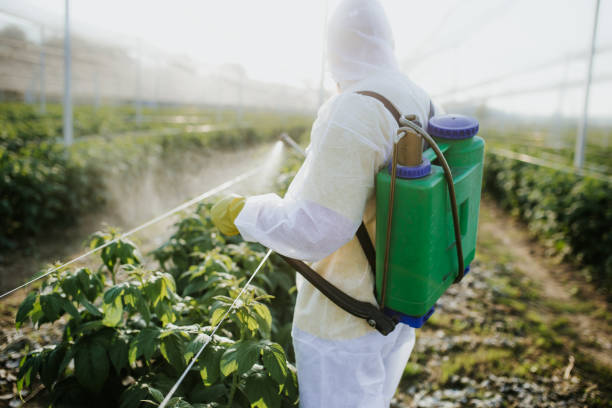 Best Affordable Pest Control Services  in St Gabriel, LA